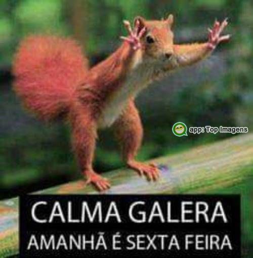 caiogt__'s tweet photo. https://t.co/5Y5fNS1U6o