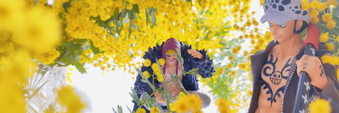 おも🤫ち tweet media