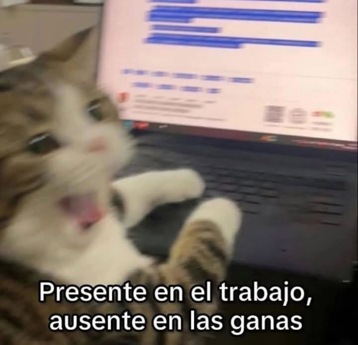 ANIMALITOSSANA's tweet photo. https://t.co/eq1YNi0NgK