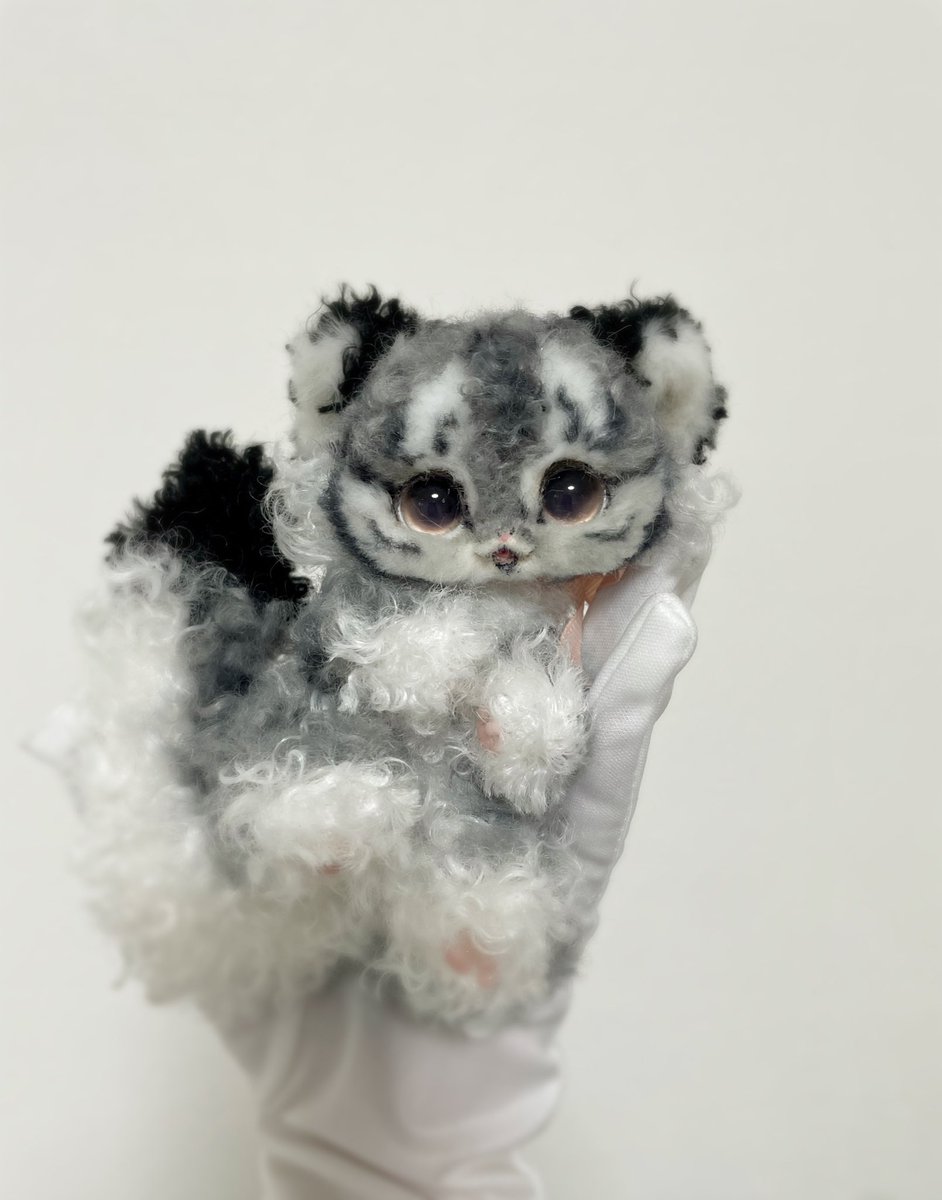 雲みたいにふわふわで☁️ 軽い巻き毛の虎の子🐯🩶 抱き上げると