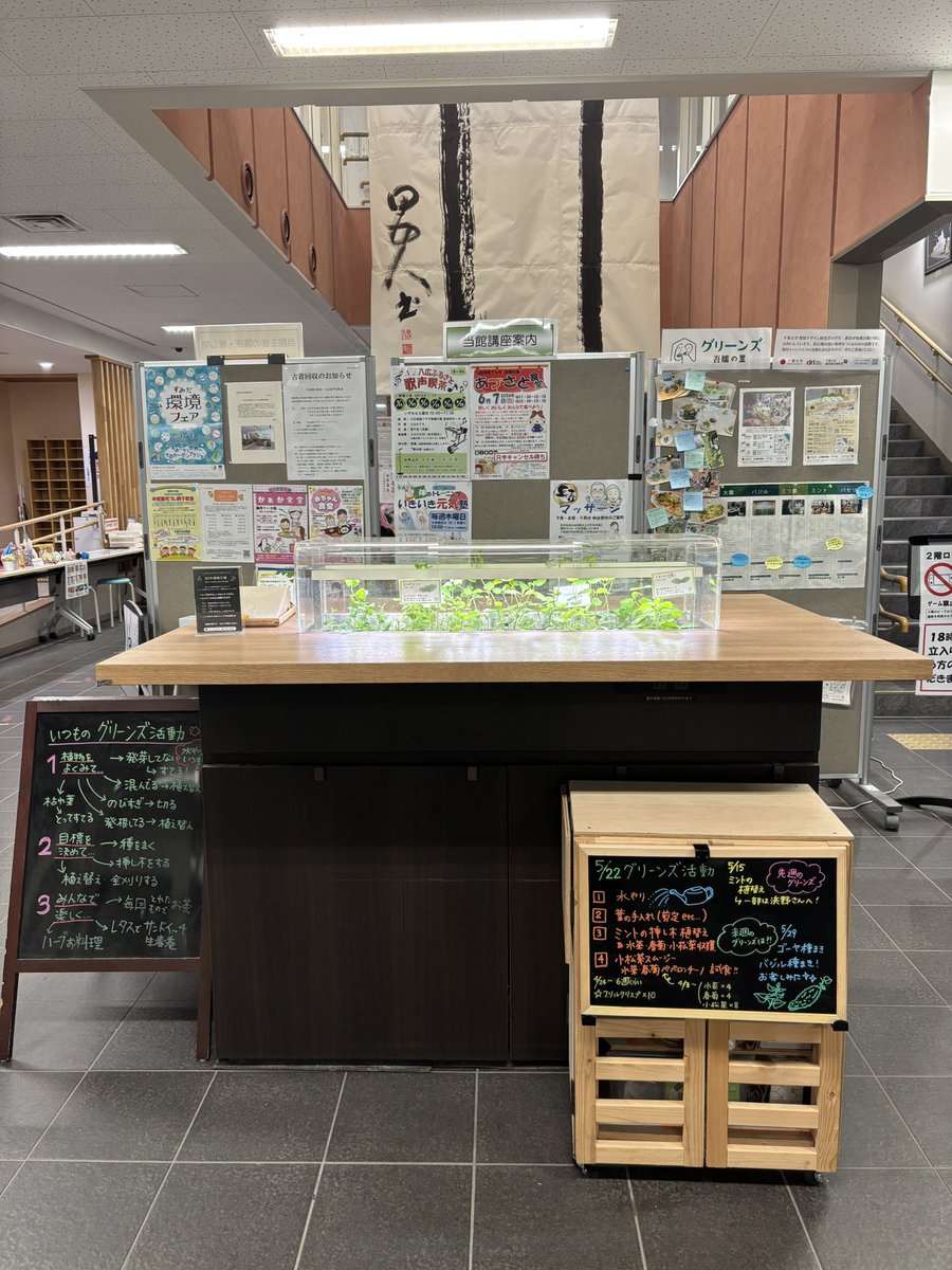 UDC_sumida's tweet photo. 千葉大学グリーンズ🌱

八広地域プラザで、地域の方々と植物工場の取り組みを進めています！すでに5年目くらい⁉️👀
長く地域に親しまれています✨

＃大学のあるまち
＃すみだ
＃千葉大学 https://t.co/fK2xf3Qjxw