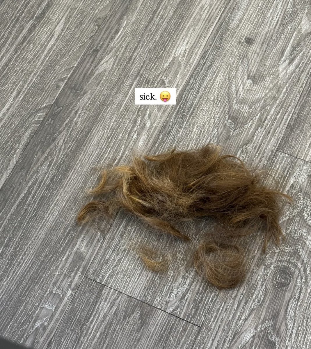 acervoellabr's tweet photo. goodbye, goodbye, goodbye. you were bigger than the whole sky ππ»ββοΈ #RIPLongHair https://t.co/AkFgaaR7ls