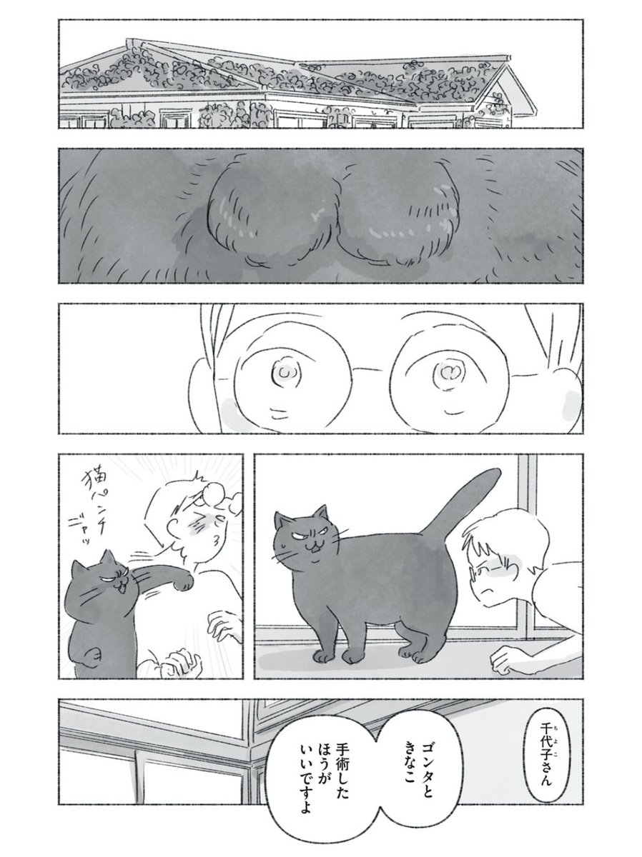 今日マチ子「るすばん猫きなこ」の第9話が本日無料公開、第10話が先行公開となっています。コミックデイズでご覧になれます
第10話は紳士淑女のお話です。