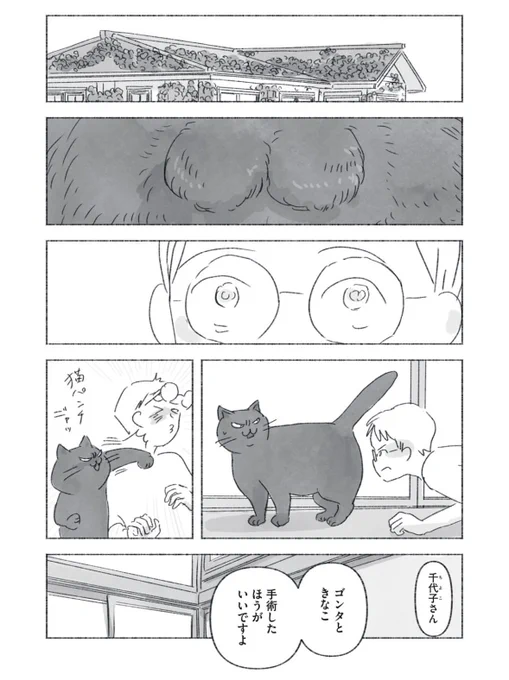 今日マチ子「るすばん猫きなこ」の第9話が本日無料公開、第10話が先行公開となっています。コミックデイズでご覧になれます

第10話は紳士淑女のお話です。 