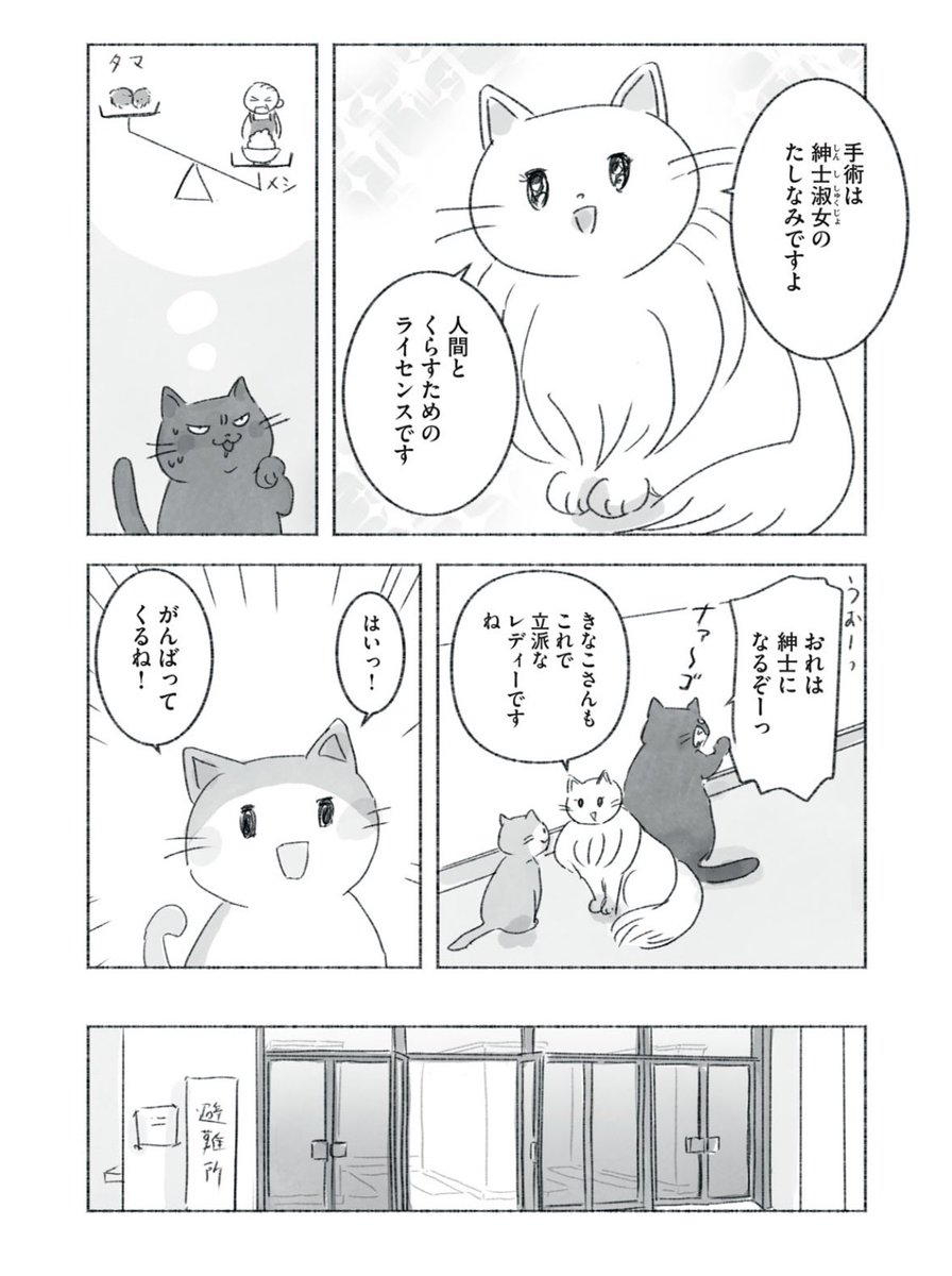 今日マチ子「るすばん猫きなこ」の第9話が本日無料公開、第10話が先行公開となっています。コミックデイズでご覧になれます
第10話は紳士淑女のお話です。