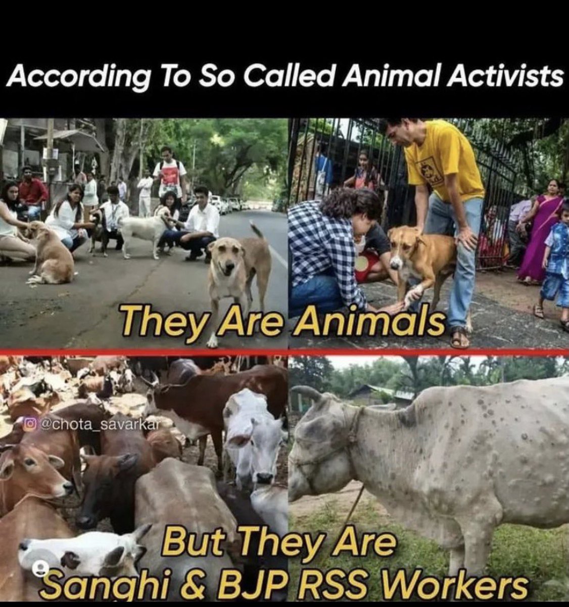 Viक़as tweet media
