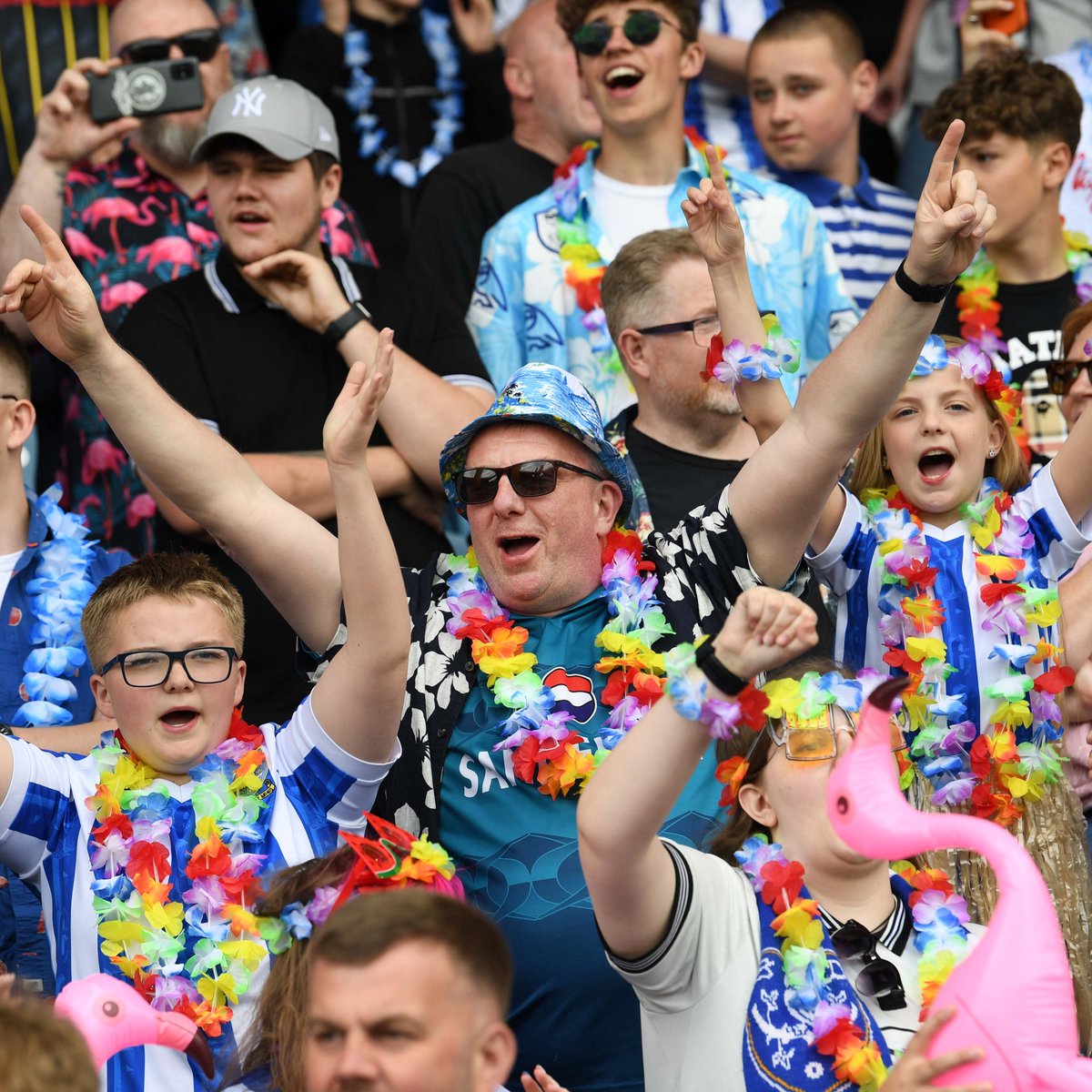 Sheffield Wednesday tweet media