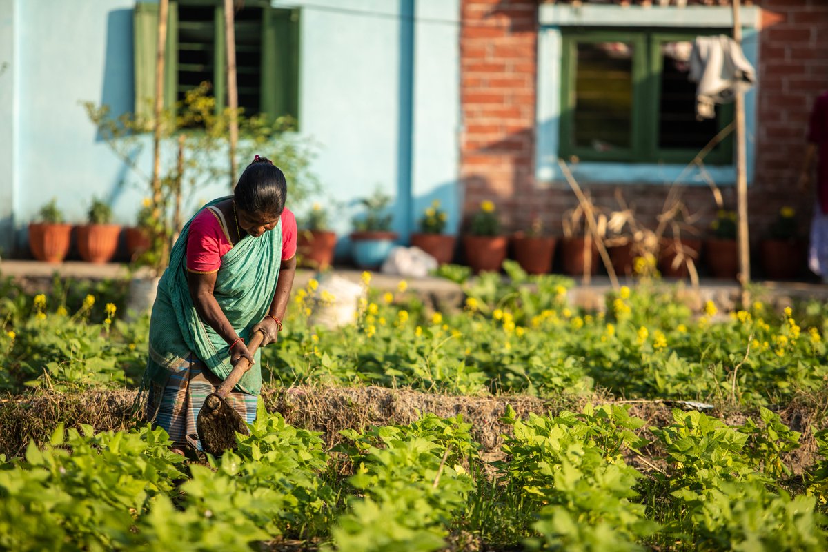 ILO_Nepal's tweet photo. While social norms and unequal opportunities remain key barriers for women, @ILO_Nepal is striving to advance an inclusive, gender-responsive world of work. https://t.co/w0fxWU95AZ