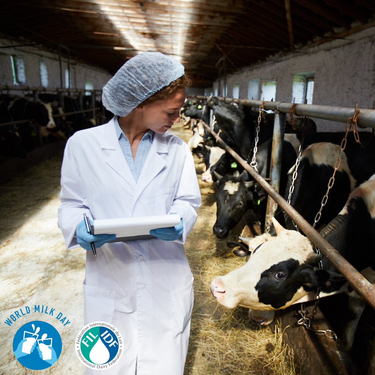International Dairy Federation tweet media