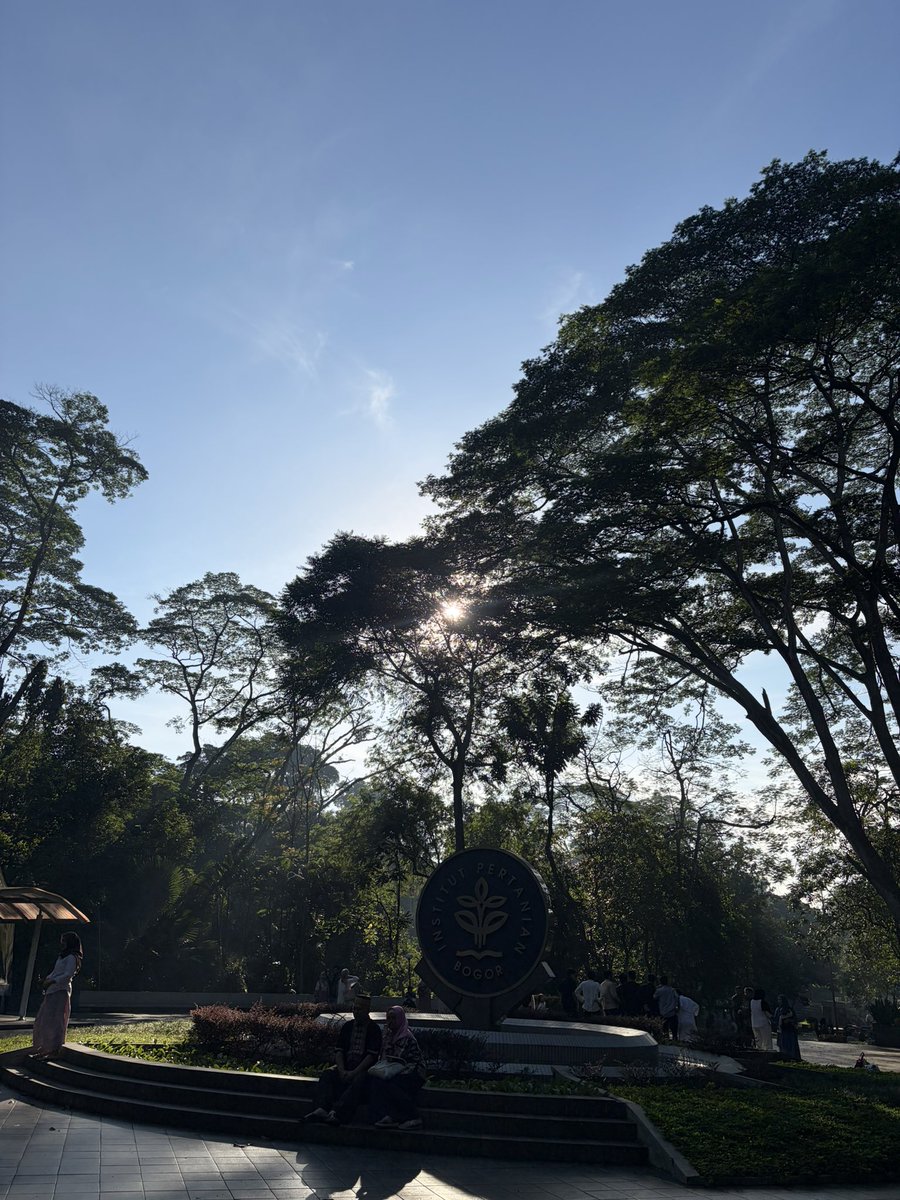 hawimaw malaya tweet media