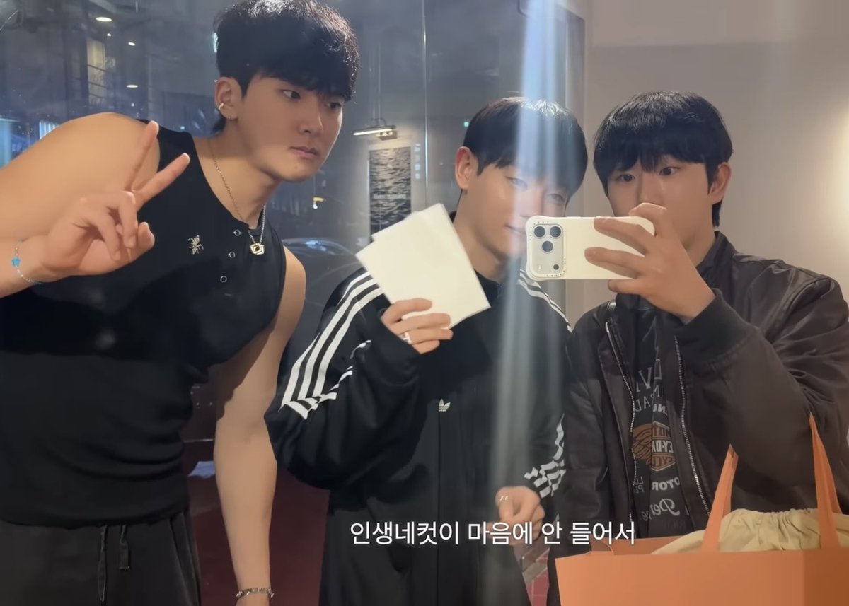 핑 tweet media