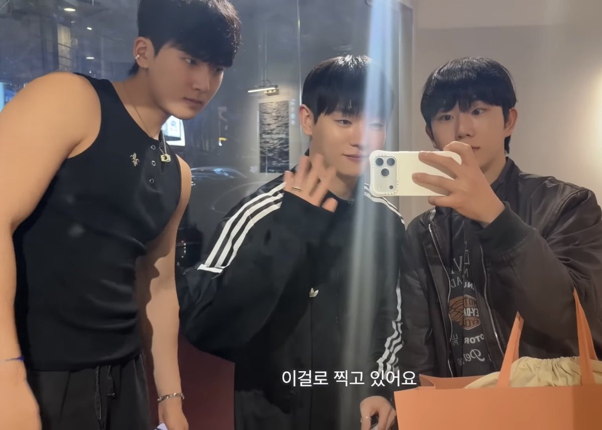 핑 tweet media