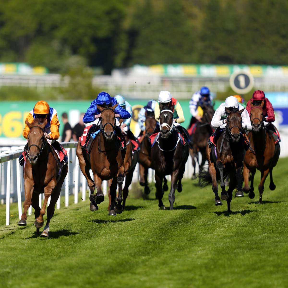 AtTheRaces's tweet photo. "I hope he can step forward nicely after his Gordon Richards return; to be fair, he will need to"

@HawkWing2002 has provided his horses to follow ahead of a competitive card at Sandown Park this evening...