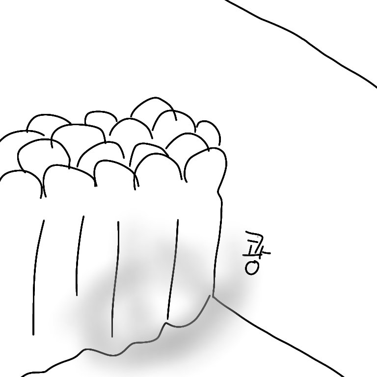 노심용융 tweet media