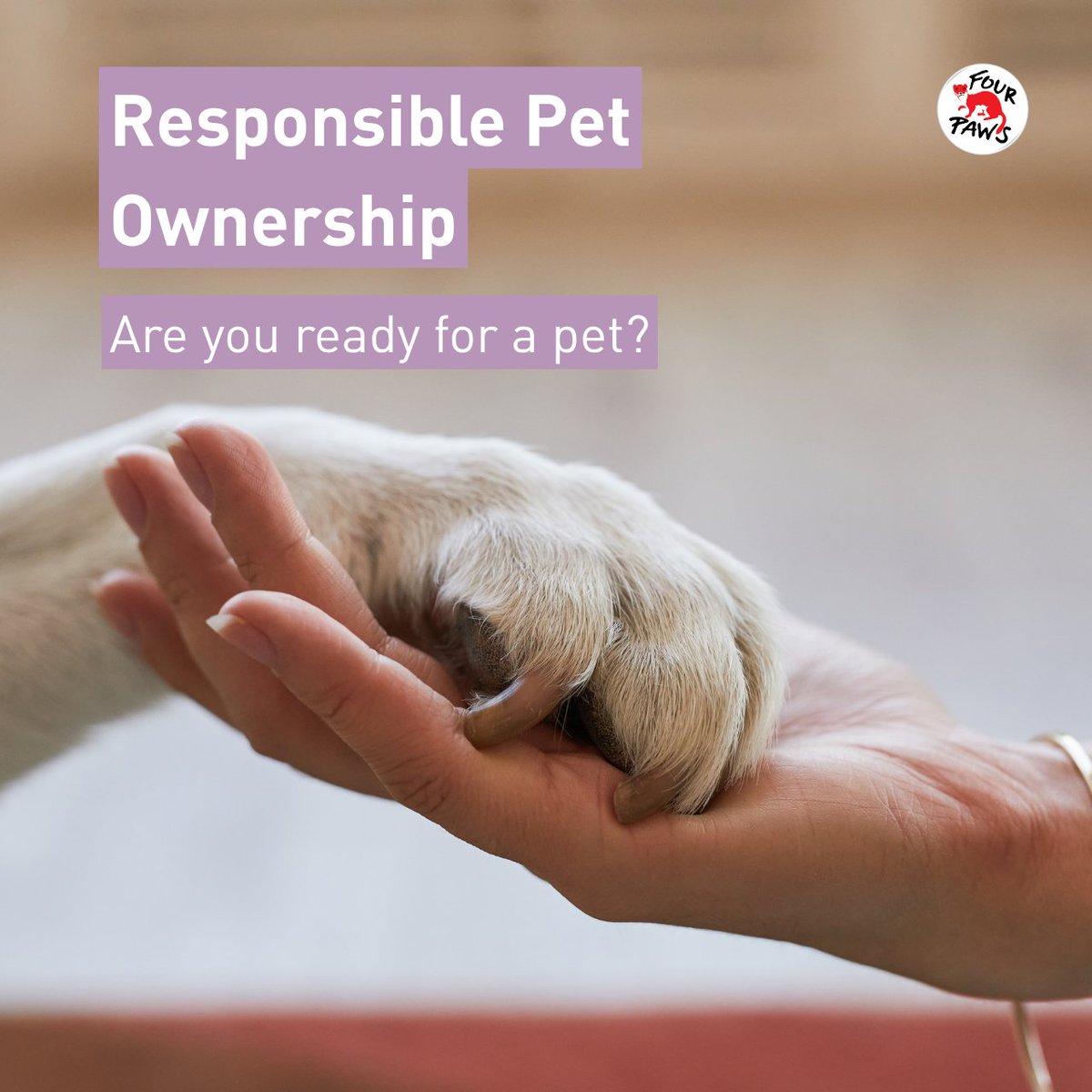 fourpawsint's tweet photo. Pet ownership is more than cuddles and cute photos — it's a lifelong commitment. ❤️

Our pets depend on us every single day for nutrition, vet care, training, and love.

Read more: https://t.co/Ve1wz6WHBt https://t.co/CQoaJ9ae9v