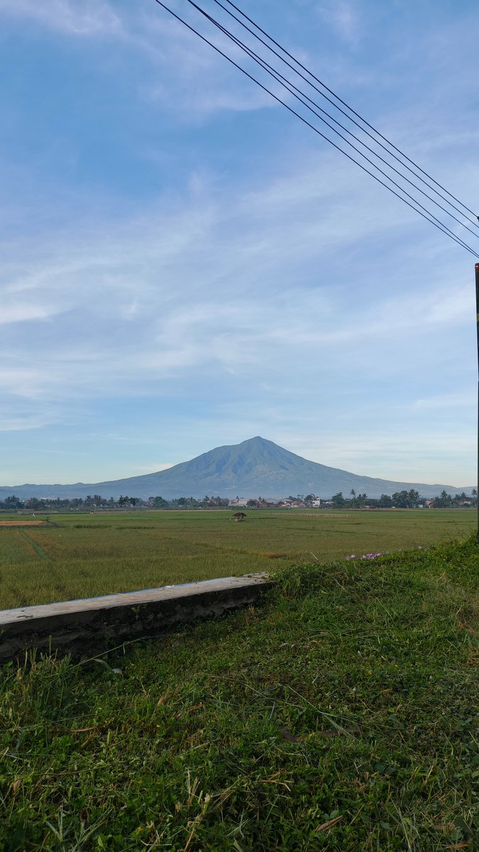 sunfavflower's tweet photo. @BapakKerja https://t.co/MWVgAZDMOA