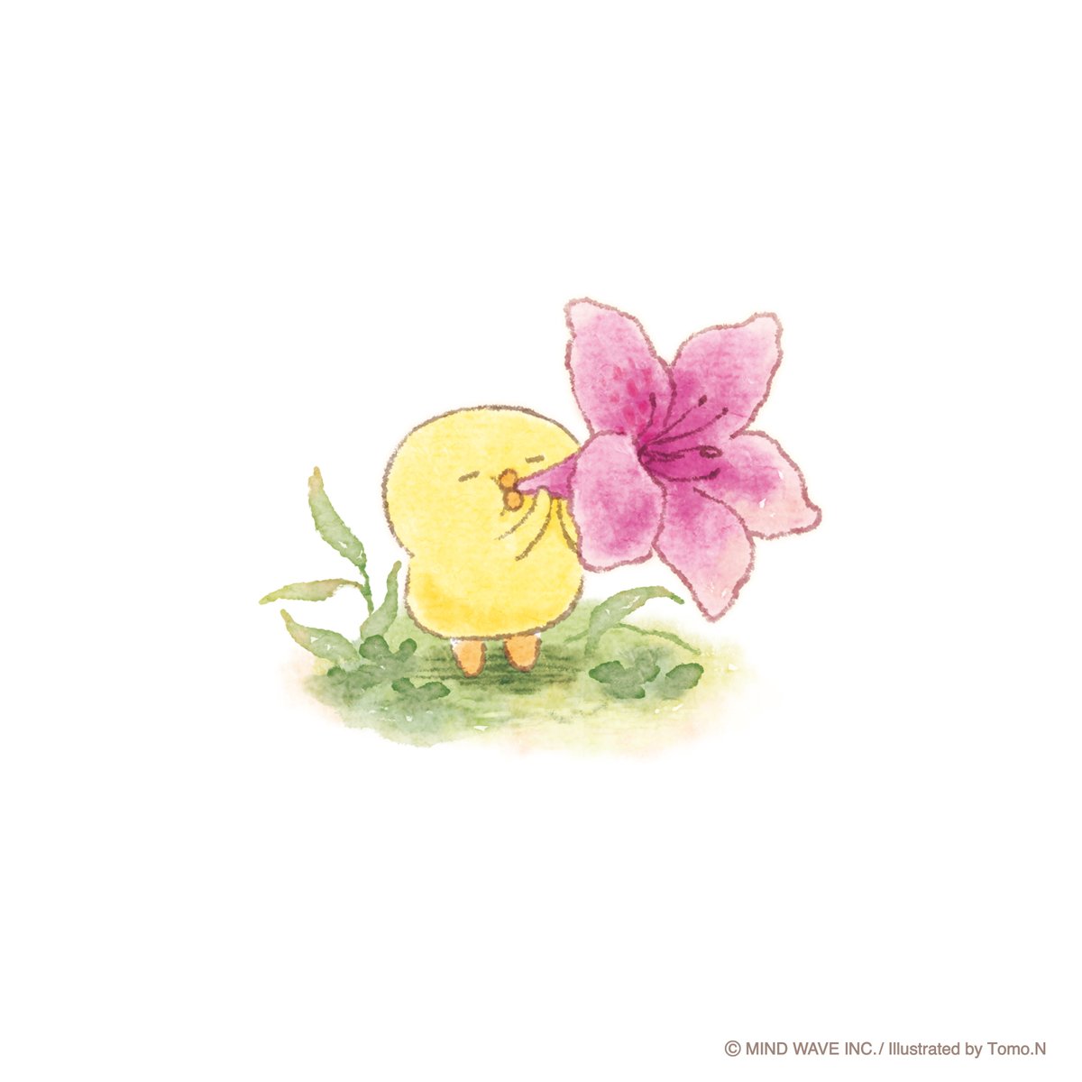 ヂュッ🌺 #ぴよこ豆 #マインドウェイブ #ひよこ