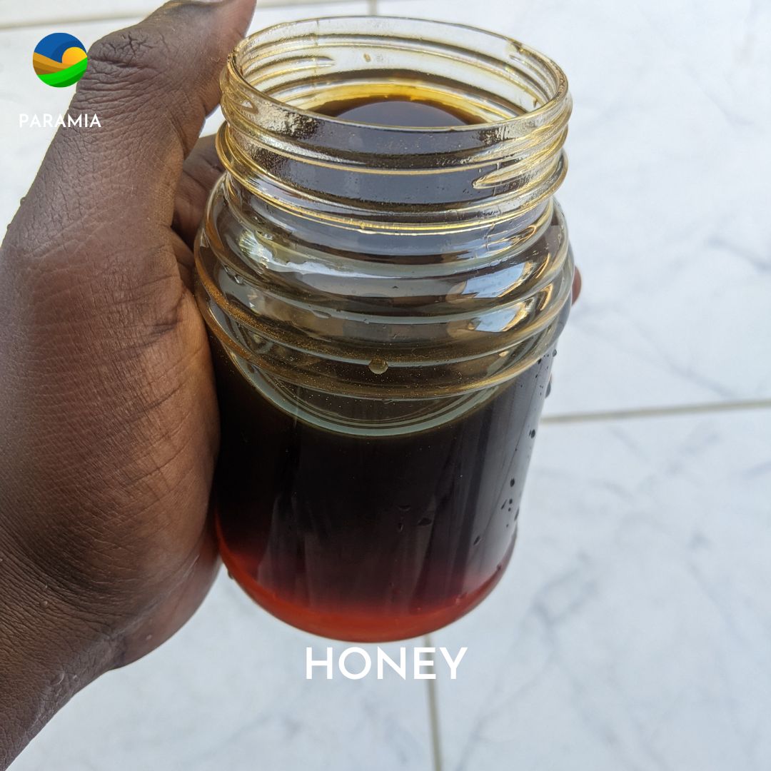 Paramia__'s tweet photo. 🍯 https://t.co/2zgFJsgKGq