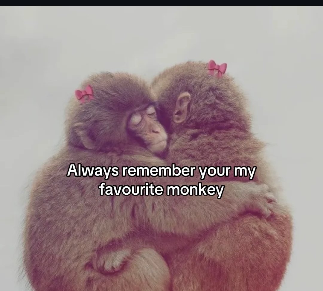 hazelpony9's tweet photo. @RediTlhabi Dear Redi... https://t.co/oqUr3mKTFN