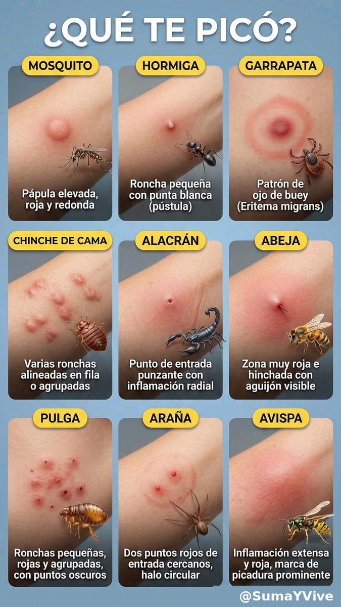 Suma Y vive tweet media