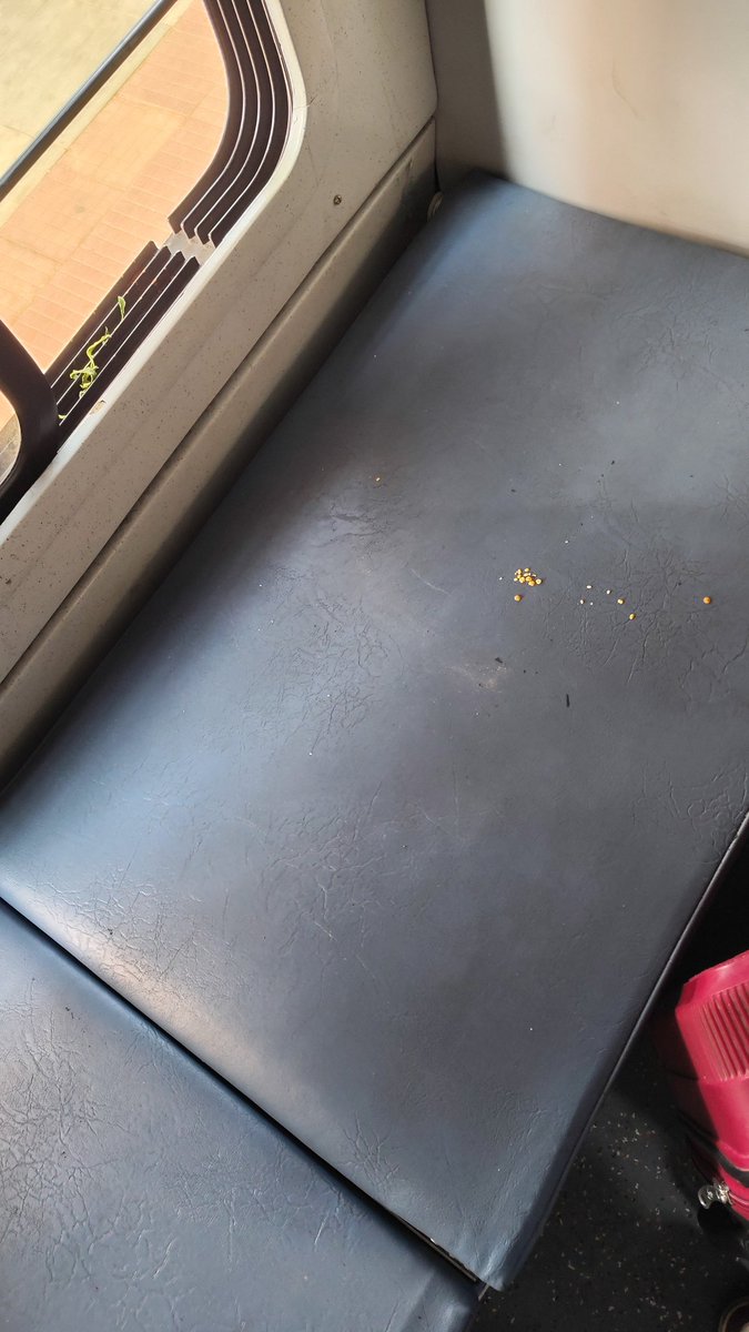 Nahi_bataunga12's tweet photo. Seat is not clean 

Pnr number 6203969413
18404
S4,7 @RailMadad @RailMinIndia https://t.co/VoT2kJuz0v