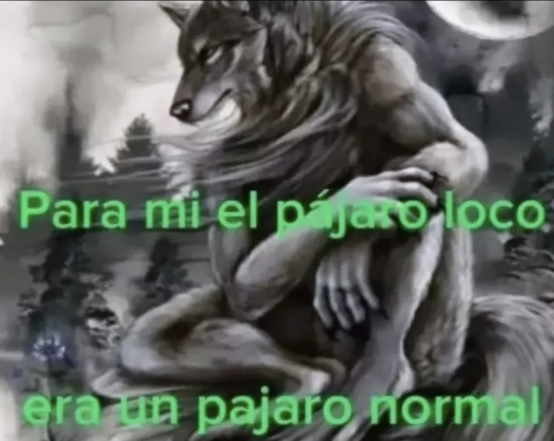 navarro tweet media