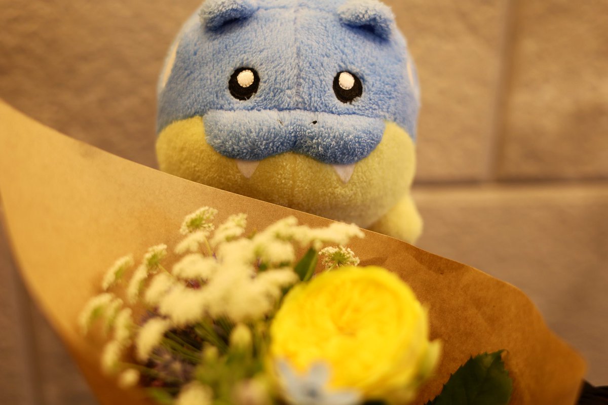 Post by タマザラシとおさんぽ🍧 on X: 💐