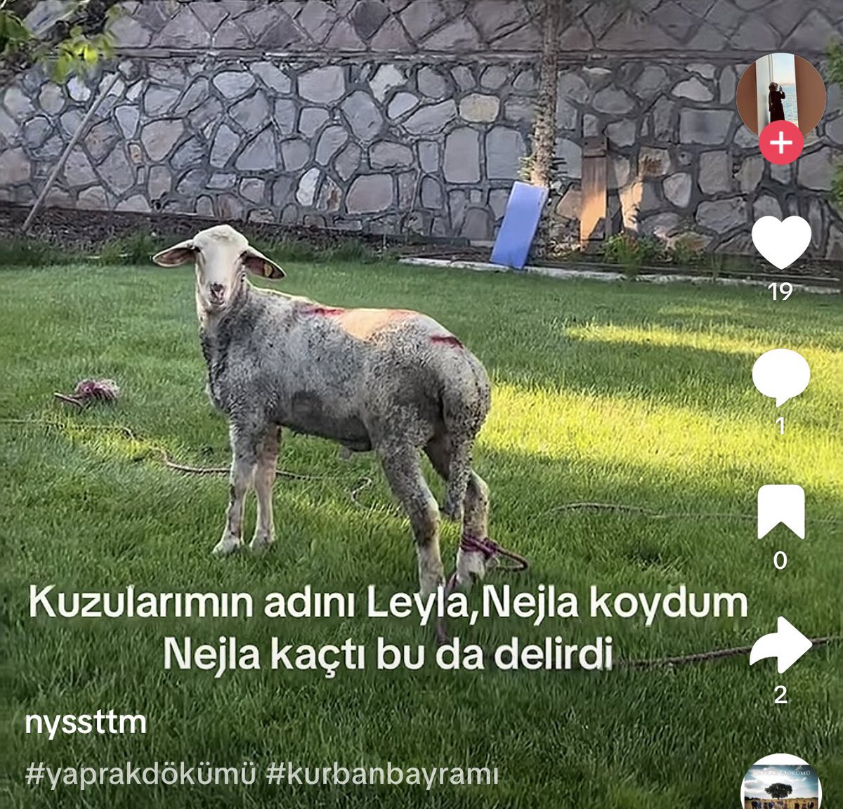 feveranp's tweet photo. bi diziye gereginden fazla baglanınca kızlar https://t.co/t1DqQeNmuW