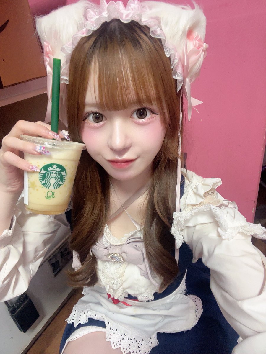 うた@みけねこカフェ川越 tweet media
