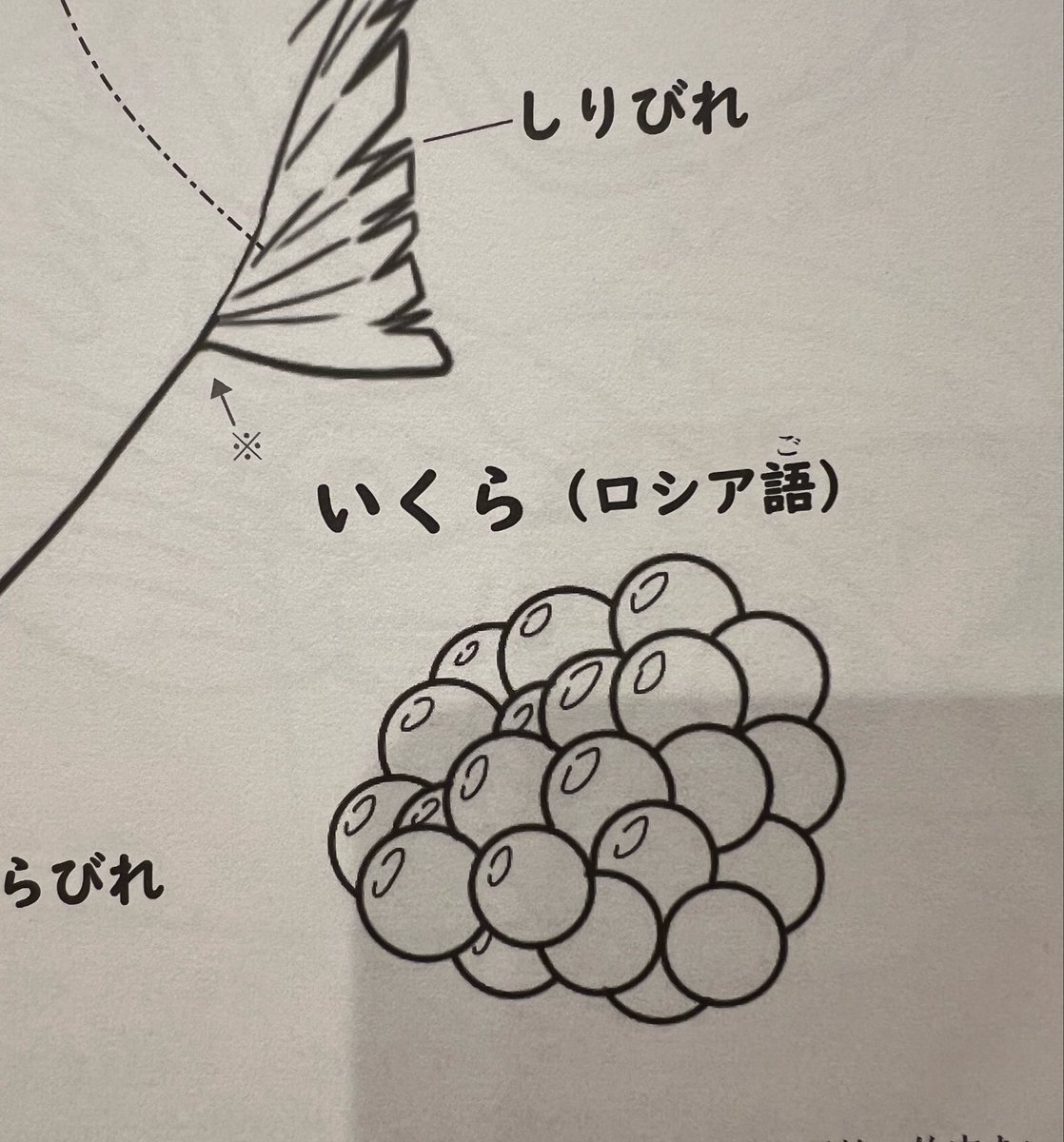 FuefukiTaka's tweet photo. いくらてロシア語なんですか⁉️ https://t.co/8ijlYkCe39