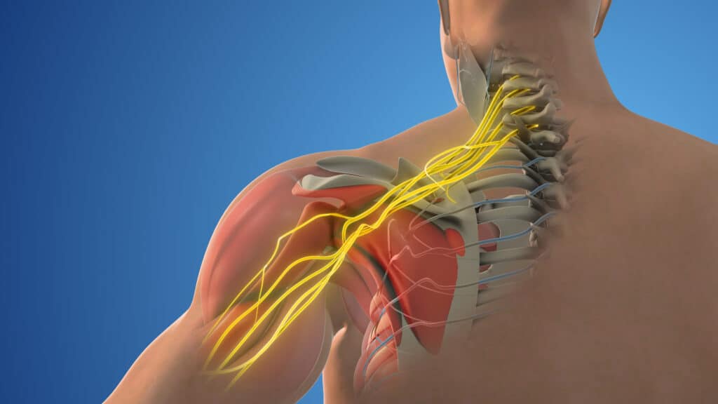 omdocpro's tweet photo. Shoulder Blade Pain and Numb Fingers: The Scalene Entrapment.

Evidence suggests burning pain under the shoulder blade with numb fingers is rarely a muscular issue. It is often an adaptive symptom driven by restriction at the thoracic inlet—specifically scalenus anterior spasm and fixation of pleural dome ligaments. This tight fascial architecture compresses lower trunks of the brachial plexus against the first rib, radiating distress down the arm.

Local rubs or generic neck stretches bring only temporary management, failing to release the deeper suspensory apparatus of the lung.

As a Specialist Manual Therapist, I evaluate structural architecture. My aim is to help restore mobility to the first rib, release the scalene complex, and decompress the pleural dome, easing compensatory strain. With 35 years of experience, I use deep, targeted, yet comfortable techniques designed to support long-term structural balance.

To trace these complex patterns, I must observe your mechanics without distortion. The clinical protocol requires UNDERWEAR ONLY (briefs/knickers, bra for women). I refuse to work blind; towels mask costal restrictions, first rib elevations, and clavicular shifts essential for assessment.

As a Rehabilitation Specialist and Remedial Massage Therapist, I provide bespoke movement guidance to maintain an open thoracic inlet. For Remedial Massage Berwick, let’s find the source.

Expert Manual Therapy Berwick-upon-Tweed.

Bookings via WhatsApp or SMS only.

https://t.co/rQ7WNVzyNn