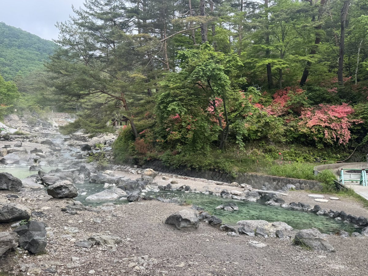honmangen's tweet photo. 草津温泉、西の河原露天風呂。
さすが平日ど真ん中の朝はゆっくり入れる♨️
向かうまでの道、躑躅がたくさん咲いていてとってもきれい。 https://t.co/DjglueRGR1