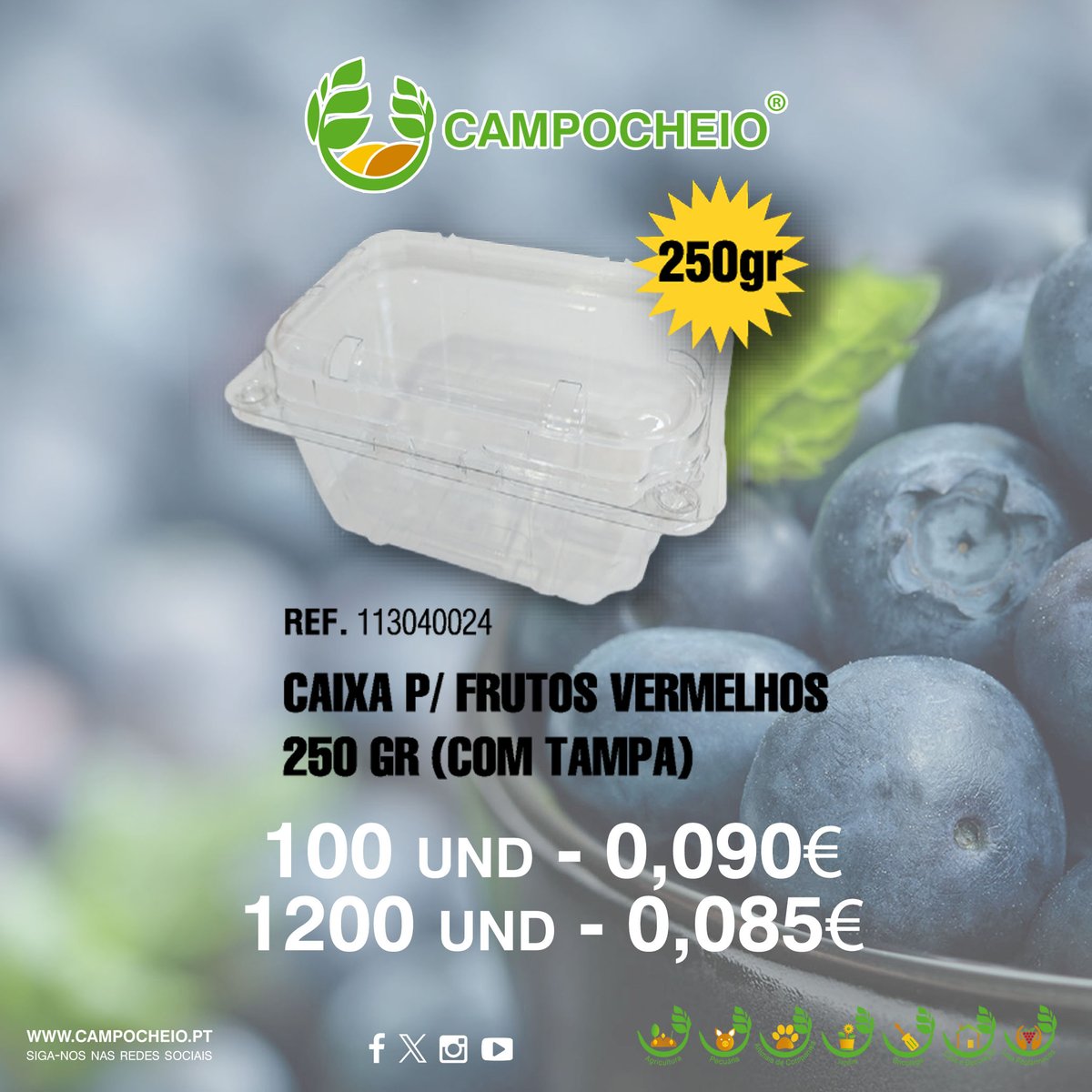 campocheio's tweet photo. Caixas Frutos Vermelhos com Tampa! Está na hora da colheita! 🍒🍓🫐☀️
Aproveite a nossa campanha antes que esgote!

✅ Folheto completo: https://t.co/aDOpEJ5mla
✅ Compre online: https://t.co/4cDAsBPeh9 https://t.co/k6BHSudoMp