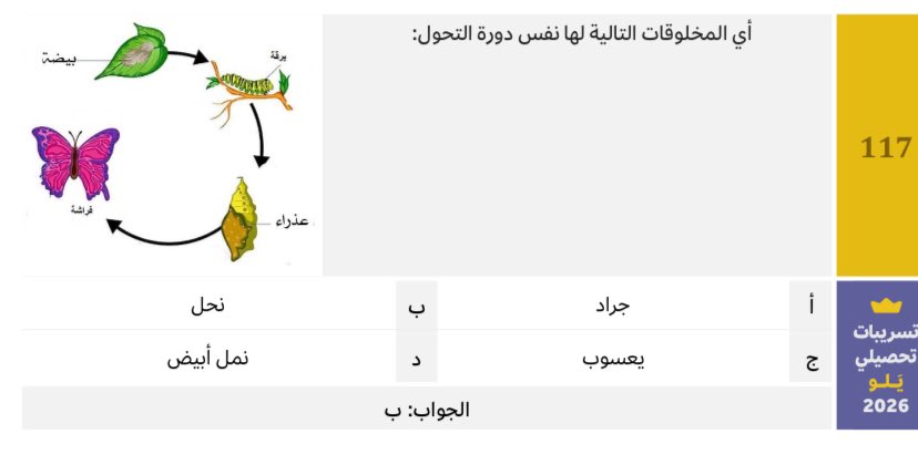 Abdulaziz tweet media