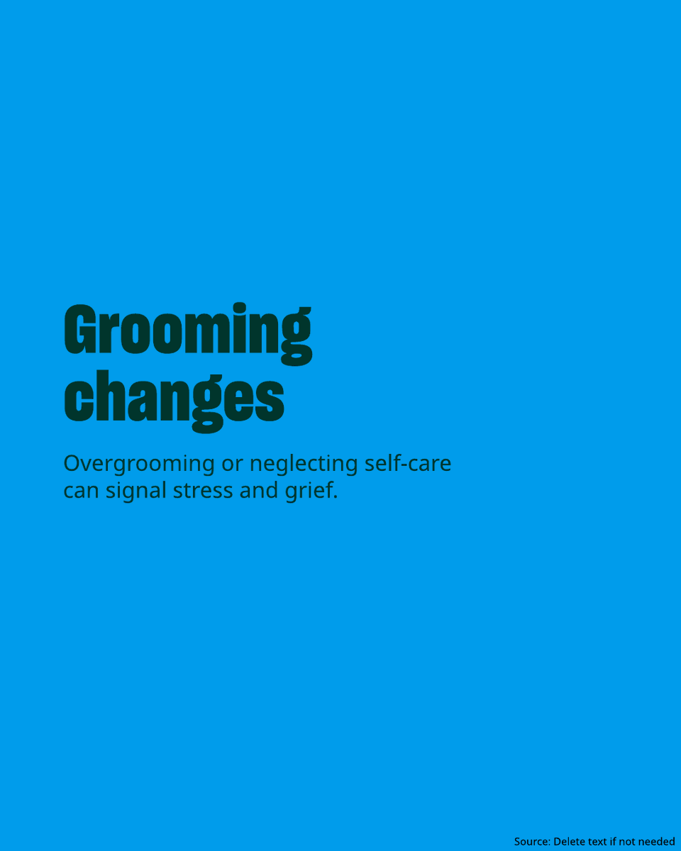 humaneworldeu's tweet photo. Recognizing the signs of pet grief is the first step toward helping them heal.
With patience, stability and care, we can support our animals as they navigate loss in their own way. ❤️

#HumaneWorld https://t.co/7ut9oaKFRc