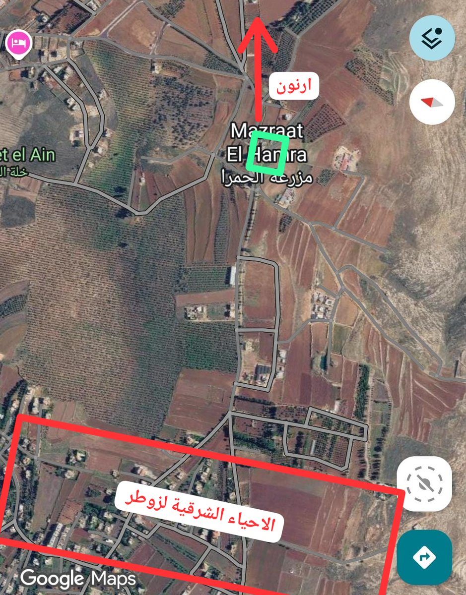 Ali heshem tweet media