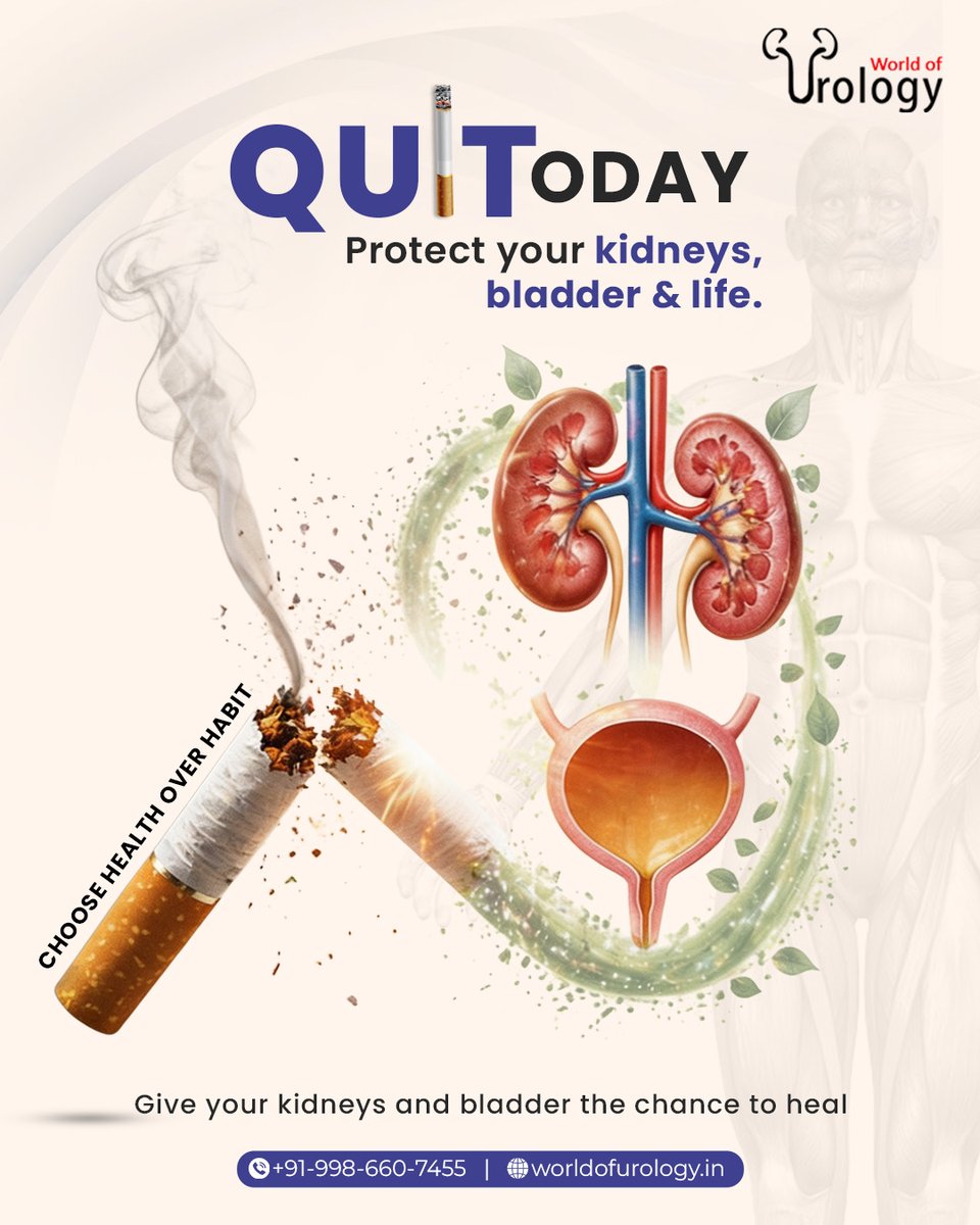 what goes in a cigarette Controlling inputs of cigarette production: rationale, challenges and  recommendations – WCO