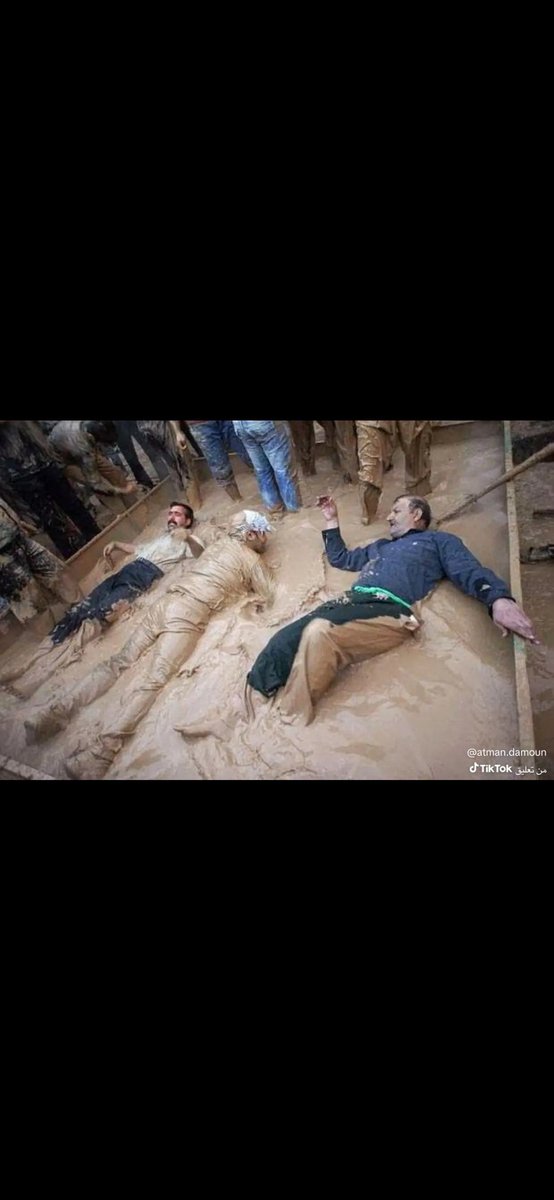 مشبب tweet media