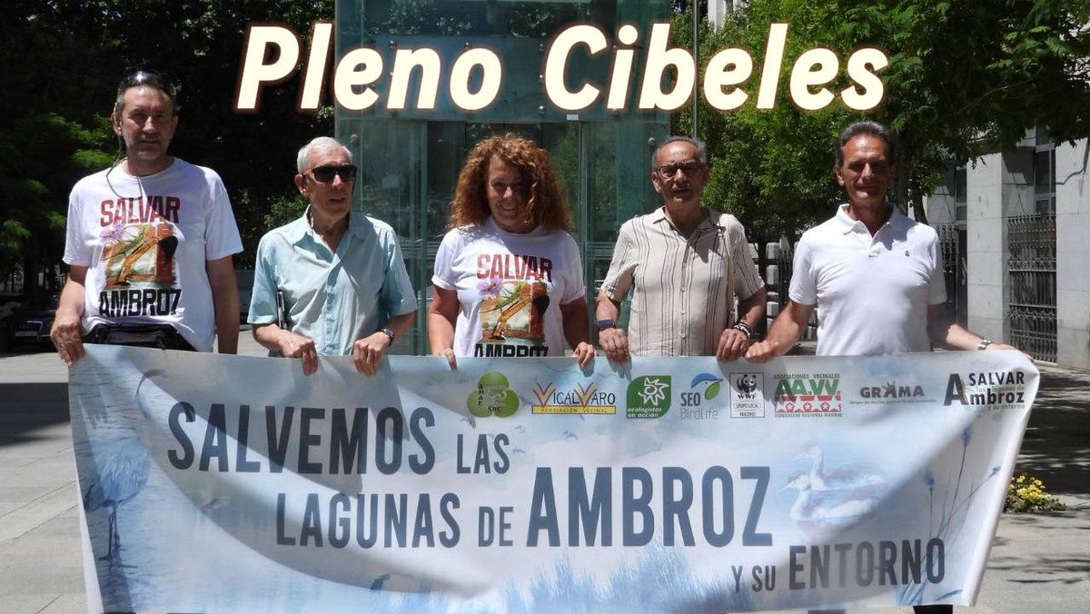 jlnietobueno's tweet photo. He defendido Cibeles las Lagunas de Ambroz frente a la reapertura de la mina de Tolsa y la Nueva Centralidad del Este.
No vamos a permitir que destruyan este espacio natural para beneficiar a los de siempre. Defender Ambroz es defender biodiversidad, salud y ciudad. https://t.co/0tjmVQUBPB