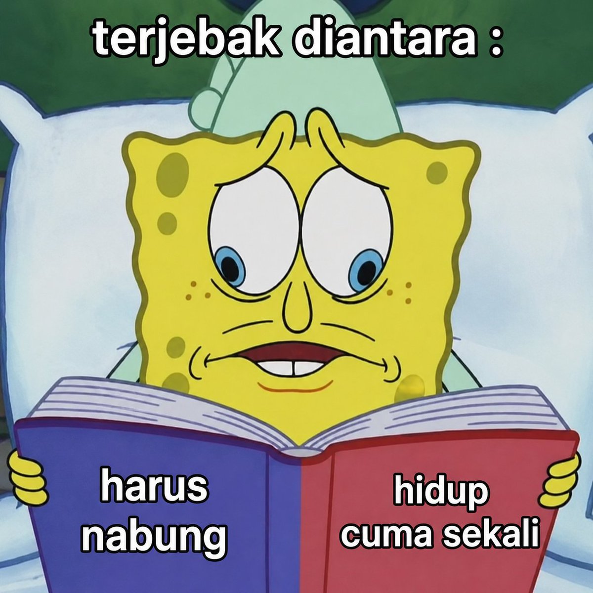 ʕᵔﻌᵔʔ tweet media