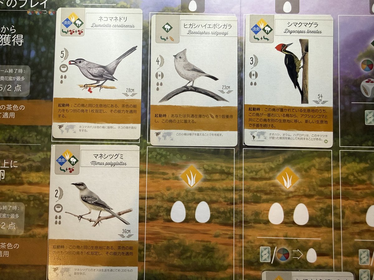 椎名さん tweet media