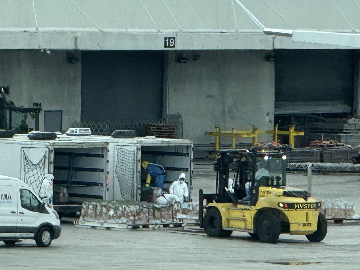 Action4Primates's tweet photo. Please join our call to Awesome Cargo to stop transporting #monkeys for the global research &amp; toxicity testing industry. Last week, 100s of long-tailed macaques were exported from #Mauritius &amp; flown to Miami @iflymia, by #Awesomecargo. Info/sample E-mail: https://t.co/bu3KnF0snp https://t.co/ktDWABBMF5