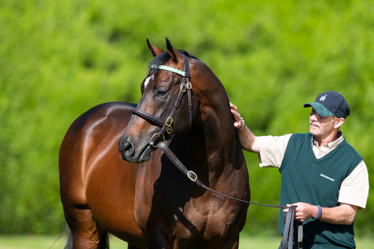 JuddmonteFarms's tweet photo. OASIS DREAM has been retired from covering duties, bringing to a close his outstanding service to Juddmonte and the breeding industry after 23 seasons at Banstead Manor Stud.

Read more ➡️ https://t.co/dARZ3zoKnf https://t.co/6mUPnSDnyY