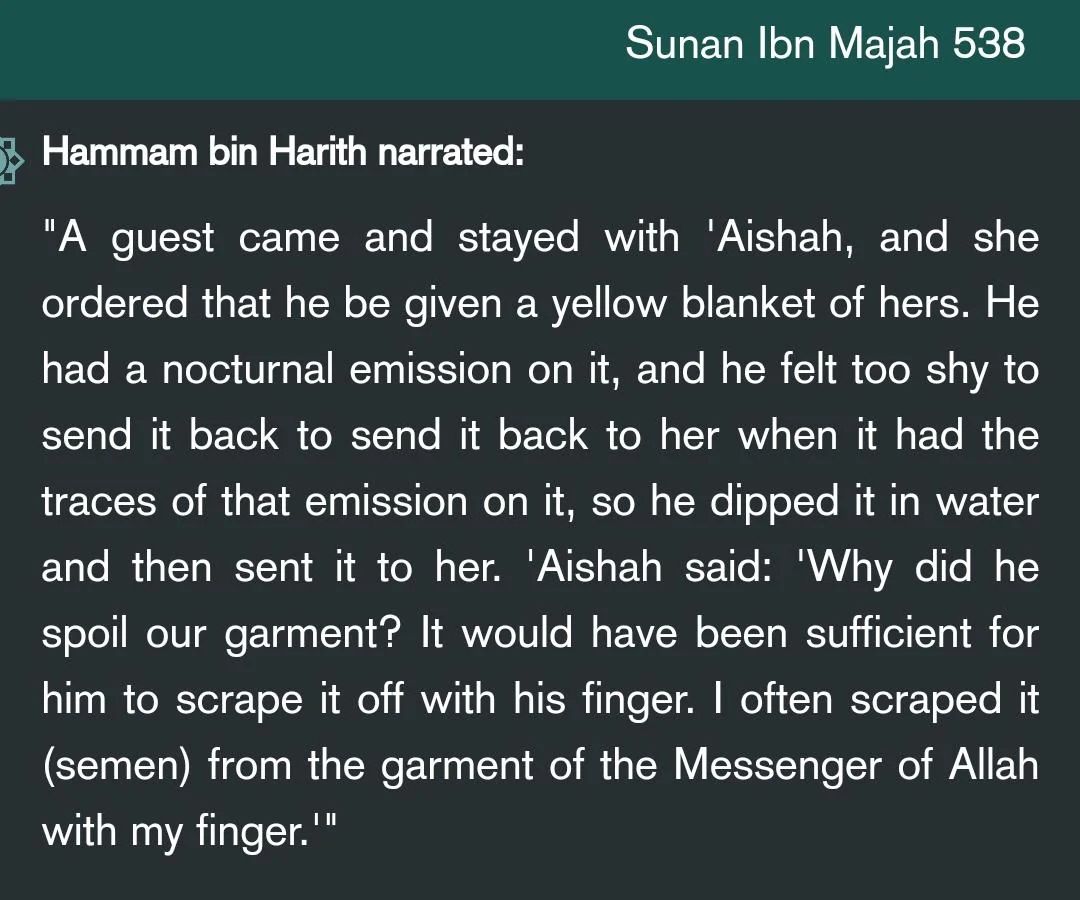 trayansh's tweet photo. @FaisalAsgh94692 @tarkovsky1984 Beauty of Islam 

Aisha washing pedo momo's cum and his guest used her blanket to cum and she has to wash it 

Very beautiful  😂😂 https://t.co/KqJjGfFmZM