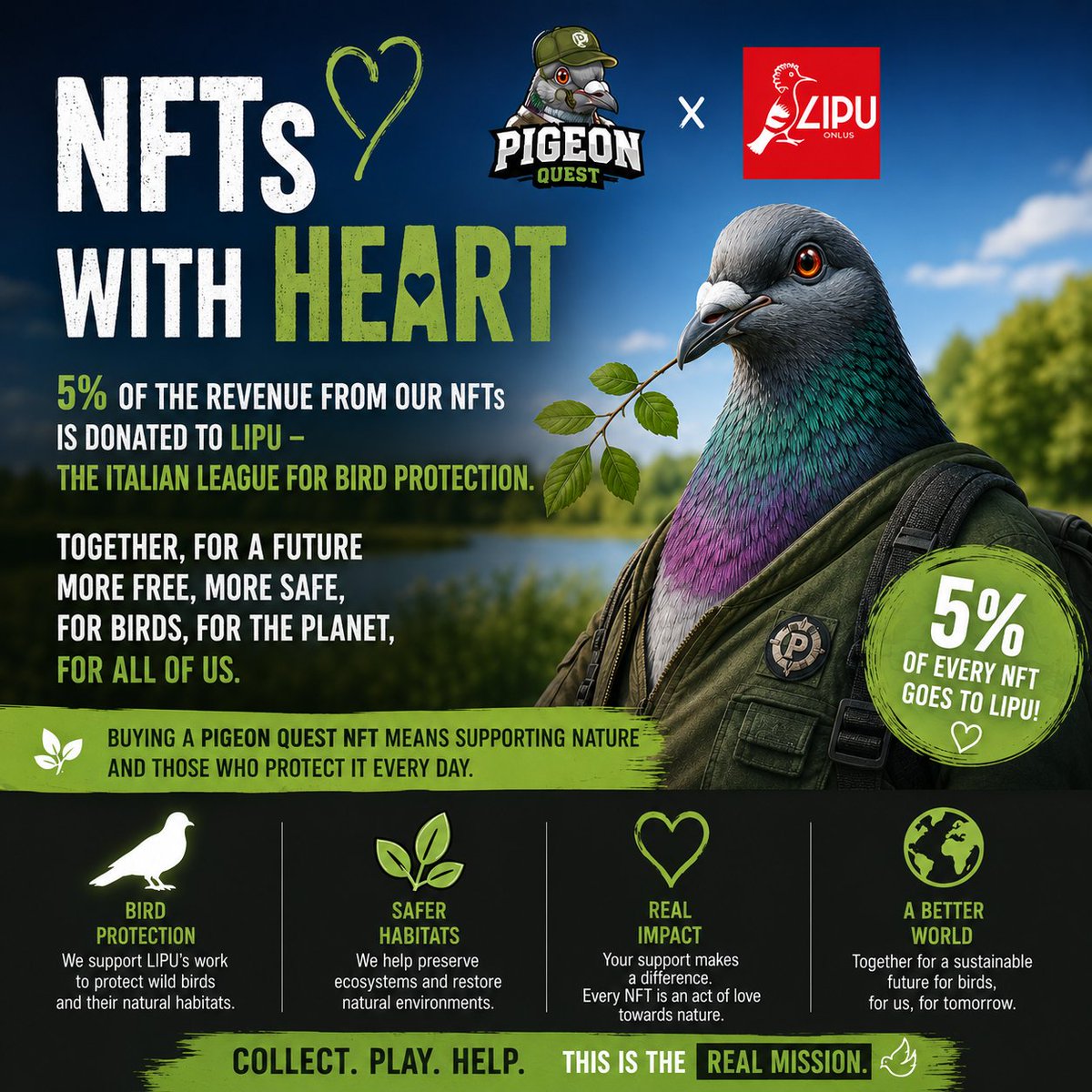 PigeonQuest's tweet photo. Pigeon Quest x LIPU
#NFT #Ebisusbay #PIQ #crofam https://t.co/tLL4pSWmh3