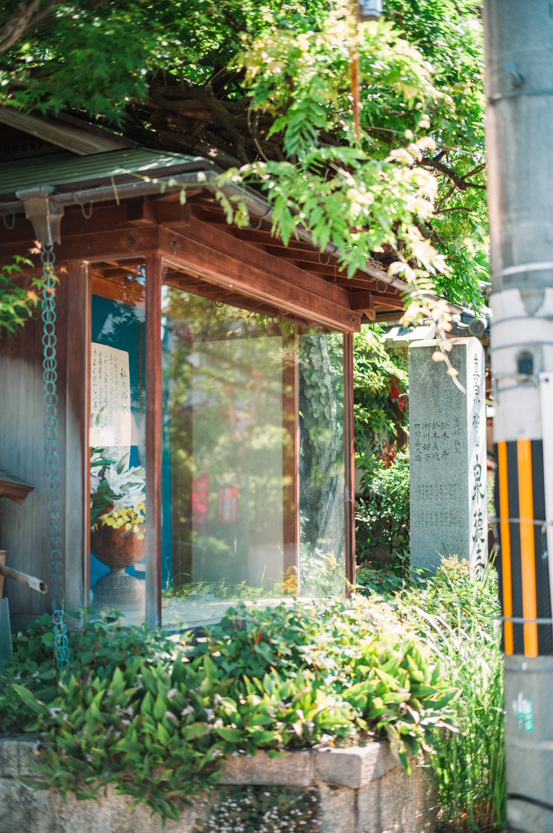 mic_azuki's tweet photo. Leica M11-P｜Summilux-M 50mm F1.4 ASPH. https://t.co/7mknHKrfa9
