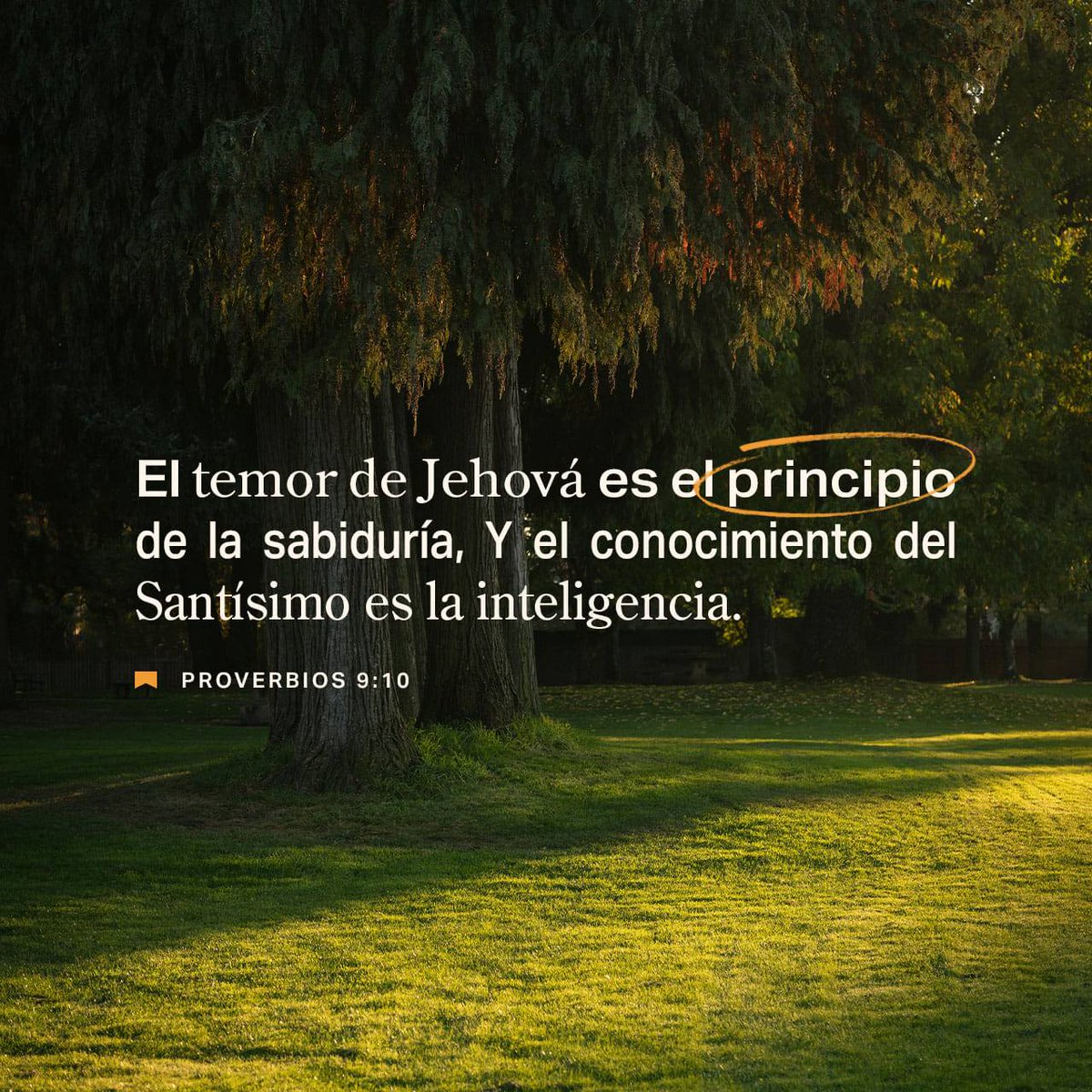 chachokamacho's tweet photo. Buen día para todos que tengan un excelente día bendiciones para todos 🙏🌅♥️🙌😊🤗

https://t.co/YFnWI1Y1si https://t.co/wvC07GT4nx