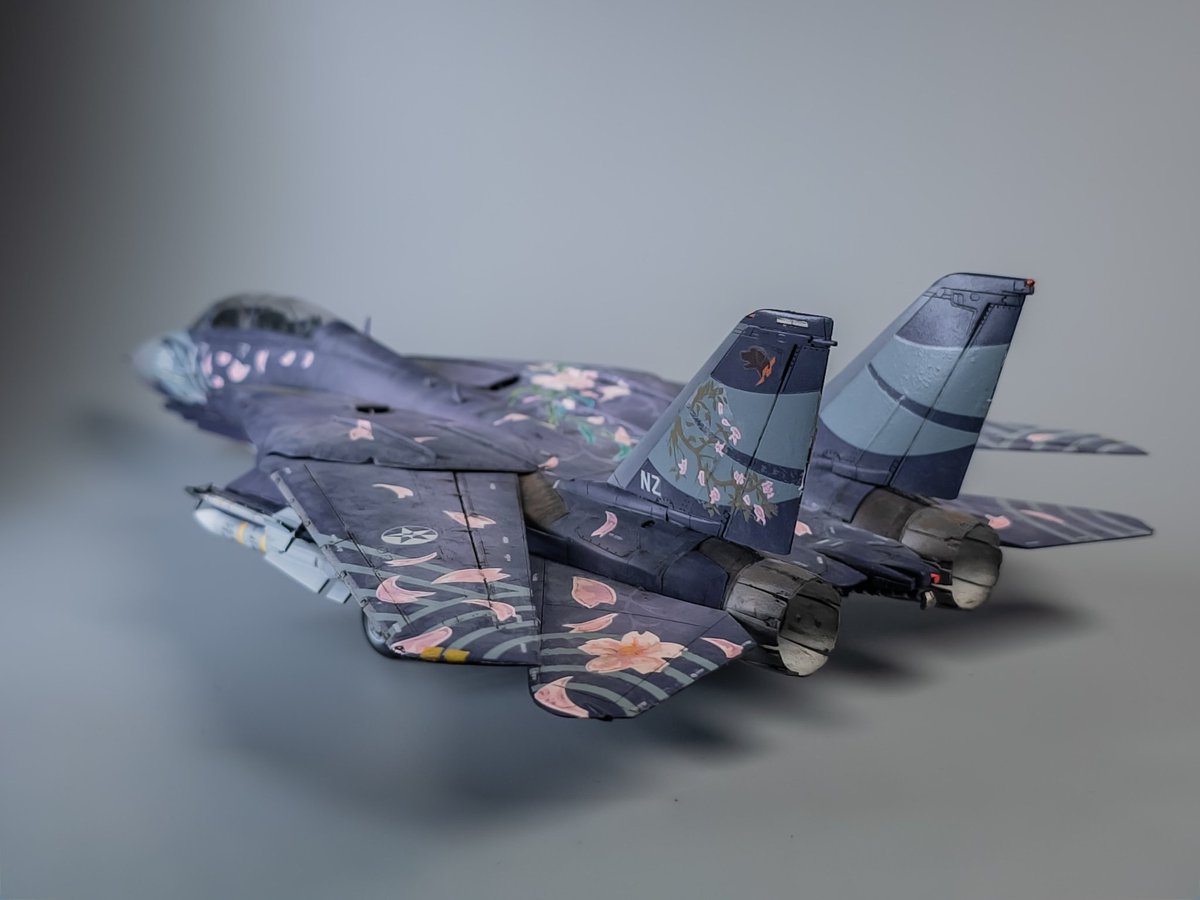 KekszPixel's tweet photo. Hasegawa 1/72 F-14D -Zipang- https://t.co/sG0v2377wx