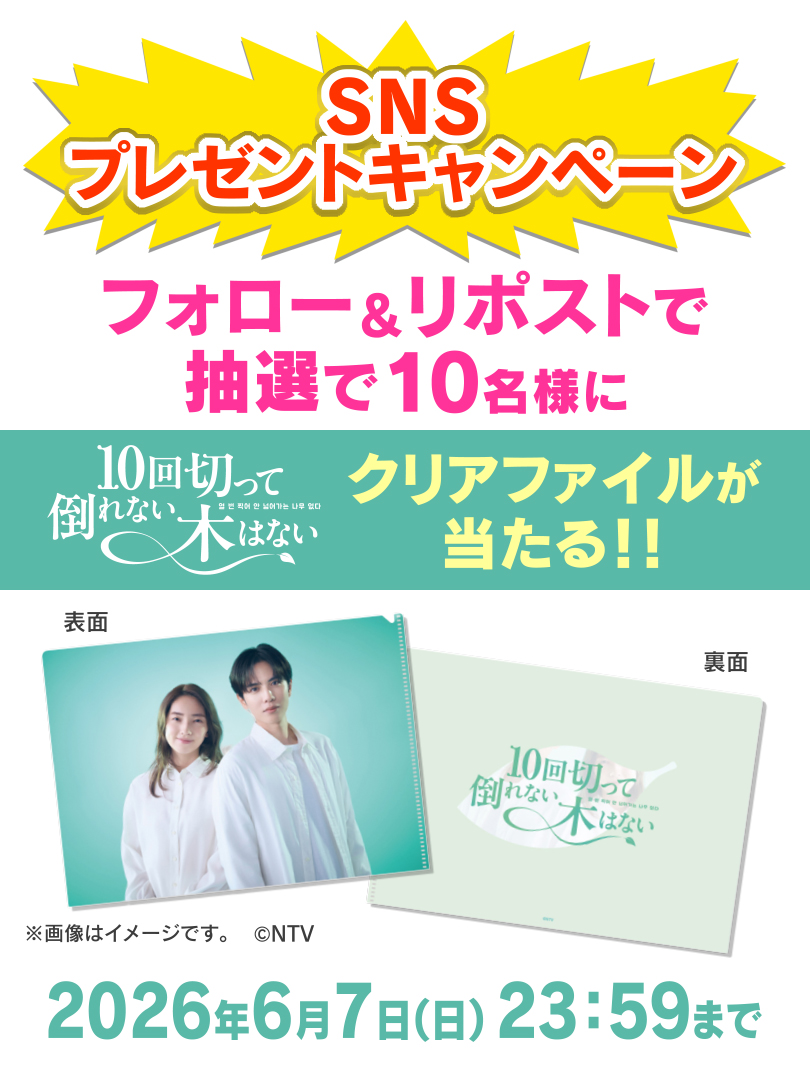4ch_KRY's tweet photo. ꒰ プレゼントキャンペーン 🎁 ♡ ꒱

毎週日曜日 よる10時30分
#志尊淳 さん主演
#10回切って倒れない木はない 🌲 
のクリアファイルが当たる！！！ ͈ᴖ ̫ᴖ ͈

応募方法：フォロー&amp;リポスト♻️
締め切り：６月７日（日）の２３時５９分

#日ドラ10回切って https://t.co/ReSmv7xDYz