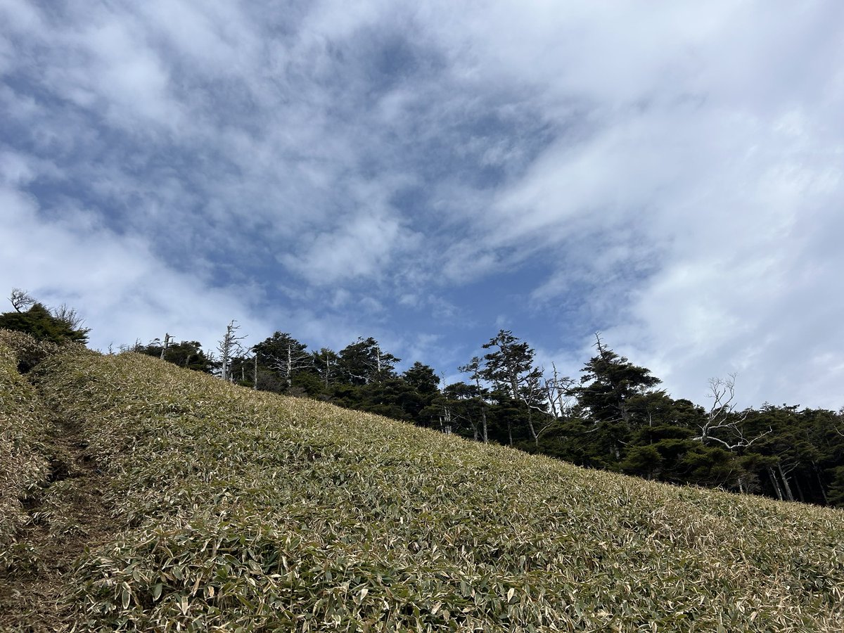asitanodeai's tweet photo. 昔を思い出して
微笑んで
今を見て嘘みたいに
言葉を信じて
雨に濡れた心を
残酷な言葉が
投げかけられる
ガラクタだけが
残っていて
貴方の背中だけ追いかけて
自分を見失って
嘆いても
嘆いても
空を切るだけ
綺麗な声は
再び心を切り裂く
それでも繰り返す
自分からは逃げられないんだ https://t.co/QCfU4dWZMU